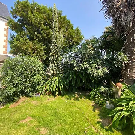 Boheme - Voyageur Solo - Jardin Partage Lodge Perros-Guirec