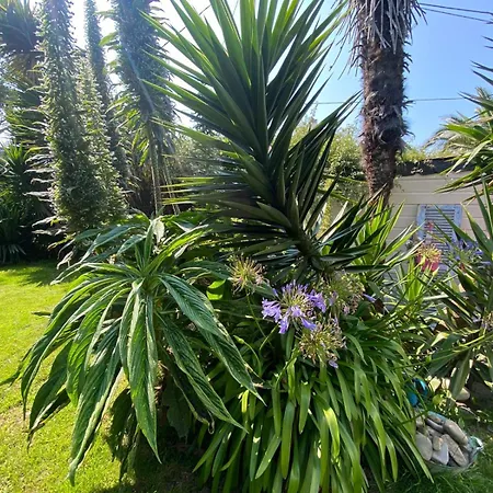 Boheme - Voyageur Solo - Jardin Partage Lodge