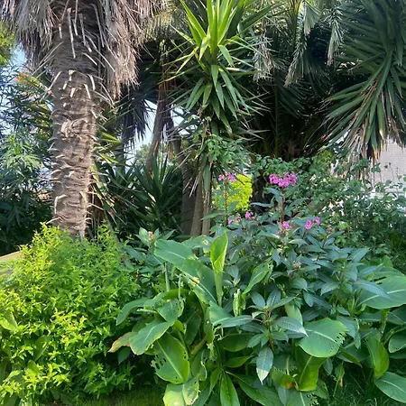 Boheme - Voyageur Solo - Jardin Partage Lodge Perros-Guirec